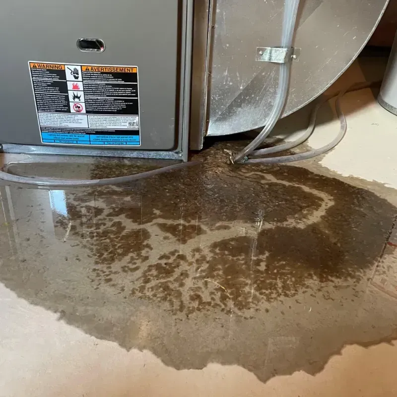 Appliance Leak Cleanup in Perry Heights, OH